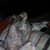 Sandra Sutter Meyer's profile image