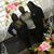 Ladonna Johnson's profile image
