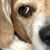 Stacey DuRant-Fisher's profile image