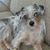 Stephanie Risley's profile image