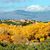 Recursos De Santa Fe's profile image