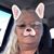 Michelle Capps Embrey's profile image