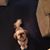 Carolyn Marvulli's profile image