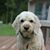 Kevin Kiritsy's profile image