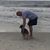Dave Parsons's profile image