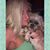Loretta McCarty's profile image