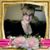 Maria Ann Blanton's profile image