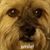 Carly Farmer's profile image