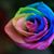 Scott Bell's profile image