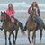 Brenda Wilcox's profile image