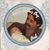 Missy Kermendy's profile image