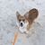 Janette Davis Brown's profile image