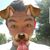 Avery Bryner's profile image