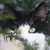 Carla Goedtke's profile image