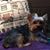 Sherry Harlan's profile image