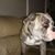 Bryan Keith Labat's profile image