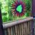 Amy Mauck Baker's profile image