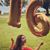 Lynne Nagel's profile image