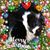 Laurie J Dent's profile image