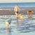 Rich N Jan Henry's profile image