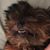 Maria Bloomer-Kaliush's profile image