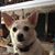 Christopher Miller's profile image