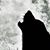 Jeni Grabow's profile image