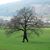 Art Mahon's profile image