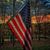 Linda Fox's profile image
