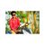Abbas Lin's profile image