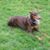 Ray Nappi's profile image