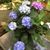 Peggy Moran Kozan's profile image