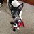 Carol Emond's profile image