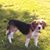 Eloise Basile Breen's profile image