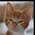 Veronica Valdez's profile image