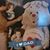 Jennifer Jam Moon-Adlam's profile image