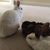 Wendy Lee Paige's profile image