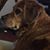 Camie Chisholm's profile image