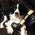 Tracey Garceau's profile image
