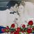 Dee Lavanty's profile image