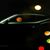 Marcos A. Goujon-Garin's profile image