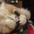 Diana West Heiss's profile image