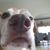Phil Neri's profile image