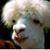 Rick Warner's profile image