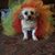 Eric Shackelford's profile image