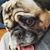 Sherrie Forrester-Rodriguez's profile image