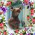 Miriam Rosas's profile image