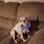 Janet Smargon Brown's profile image