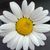 KarenandGreg Petersin's profile image