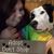 Chaneia Ruthlyn Carley's profile image